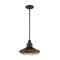 Nuvo Fixture, Pendant, 1-Light, Incandescent, 60W, 120V, A19, Medium Base 60/7044 - alternate 3